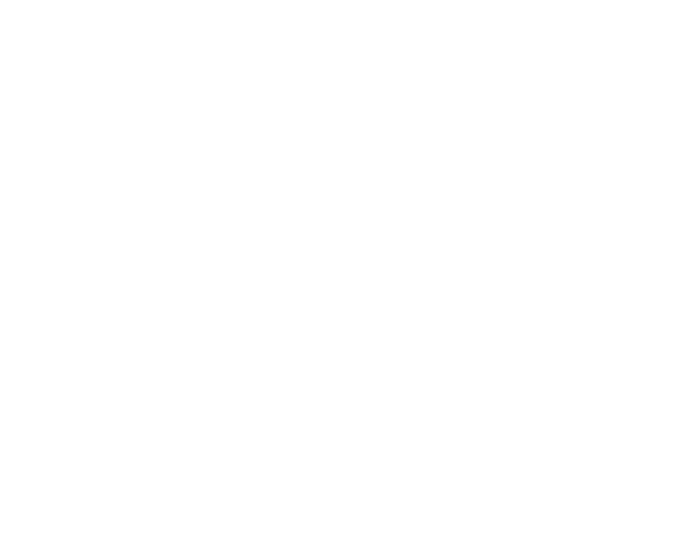 Pahadi Artisans
