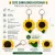 Handmade Crochet Sunflower Keychain Set of 2 | Acrylic Wool Bag Charm