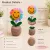 Handmade Crochet Smiley Flower Pot | Cute Desk Decor