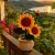 Handmade Crochet Sunflower Pot – 13 cm Desk & Home Decor Gift