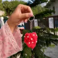 Handmade Crochet Grapes Keychain | Cute Bag & Key Charm