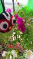 Handmade Crochet Jagannath Face Keychain for Bags & Keys | Cute Woolen Charm