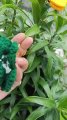 Handmade Crochet Butterfly Keychain – Cute Bag Charm