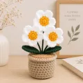 Handmade Crochet White Flower Pot | Floral Home Decor | 16cm