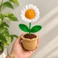 Handmade Crochet Daisy Flower Pot | Floral Home Decor