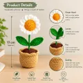 Handmade Crochet Daisy Flower Pot | Floral Home Decor