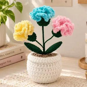 Handmade Crochet Carnation Flower Pot | Multicolor Floral Décor | PahadiKala