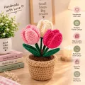 Handmade Crochet Tulip Flower Pot | Pink & White Floral Decor | 14cm