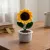 Handmade Crochet Sunflower Pot | 14cm x 6cm | Cute Home Decor & Gift