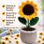 Handmade Crochet Sunflower Pot | 14cm x 6cm | Cute Home Decor & Gift