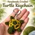 Handmade Crochet Turtle Keychain | Cute Mini Keyring (6cm x 4cm)