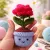 Handmade Crochet Rose Flower Pot 5 cm | Mini Cute Decorative Plant