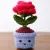 Handmade Crochet Rose Flower Pot 5 cm | Mini Cute Decorative Plant