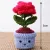Handmade Crochet Rose Flower Pot 5 cm | Mini Cute Decorative Plant