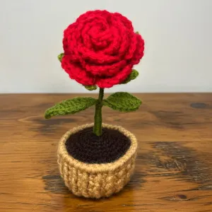 Handmade Crochet Rose Flower Pot | Mini Home Decor Gift Item (7×14 cm) | PahadiKala