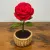 Handmade Crochet Rose Flower Pot | Mini Home Decor Gift Item (7×14 cm)