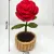 Handmade Crochet Rose Flower Pot | Mini Home Decor Gift Item (7×14 cm)
