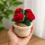 Handmade Crochet Rose Pot – Cute Decor & Gift (13 cm)