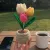 Handmade Crochet Tulip Flower Pot – Cute Desk Decor Gift