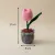 Handmade Crochet Tulip Flower Pot 17cm*6cm – Cute Home Decor