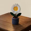 Handmade Crochet Daisy Flower Pot 12cm | Cute Mini Home Decor Gift