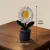 Handmade Crochet Daisy Flower Pot 12cm | Cute Mini Home Decor Gift