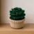 Handmade Crochet Succulent Plant in Pot – Mini Desk Decor 6 cm
