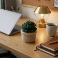 Handmade Crochet Succulent Plant in Pot – Mini Desk Decor 6 cm