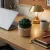 Handmade Crochet Succulent Plant in Pot – Mini Desk Decor 6 cm