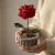 Handmade Crochet Red Rose Mini Pot Décor 10cm x 5cm | Cute Floral Table Decoration