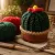 Handmade Crochet Cactus Decor 7 cm | Milk Cotton Yarn Mini Desk Decor