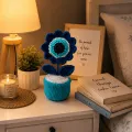 Handmade Crochet Evil Eye Flower Pot Decor 17 cm